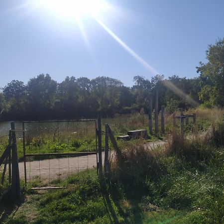 Gite La Pironniere - Piscine, Nature, Au Bord De La Riviere Montreuil-sur-Maine Exteriér fotografie