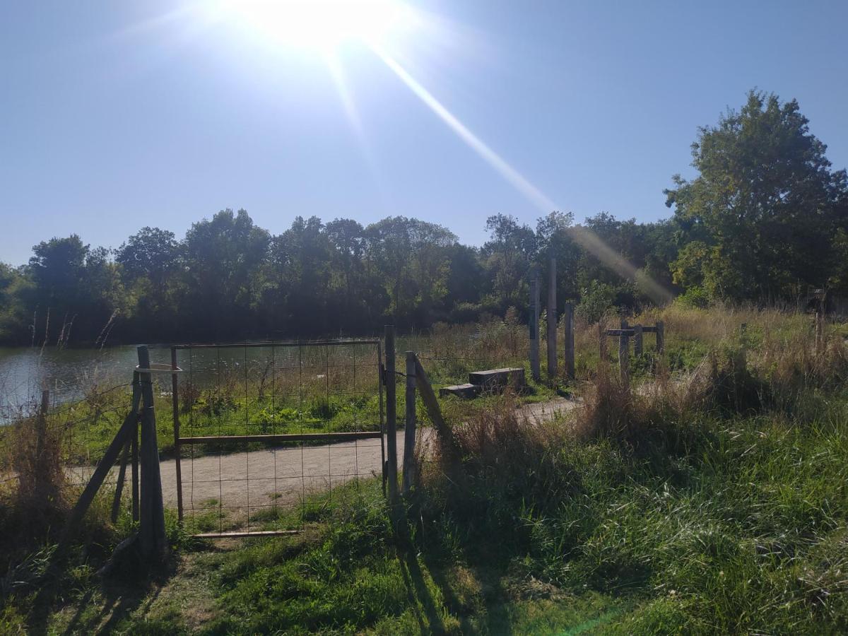 Gite La Pironniere - Piscine, Nature, Au Bord De La Riviere Montreuil-sur-Maine Exteriér fotografie